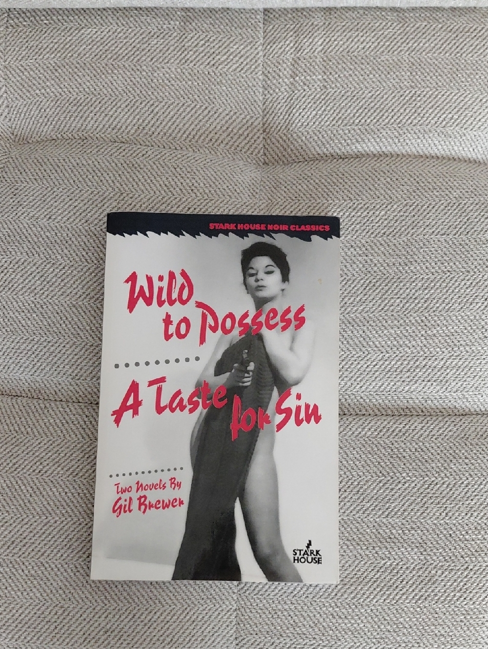 🔴 Wild to Possess / A Taste for Sin Paperback - GIL Brewer